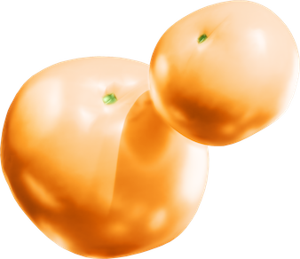 /2025/rubymusicmixin/assets/orange2-BjfKTK2C.png (163, -33)
