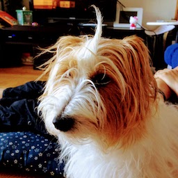 kayo / 岡田 佳代